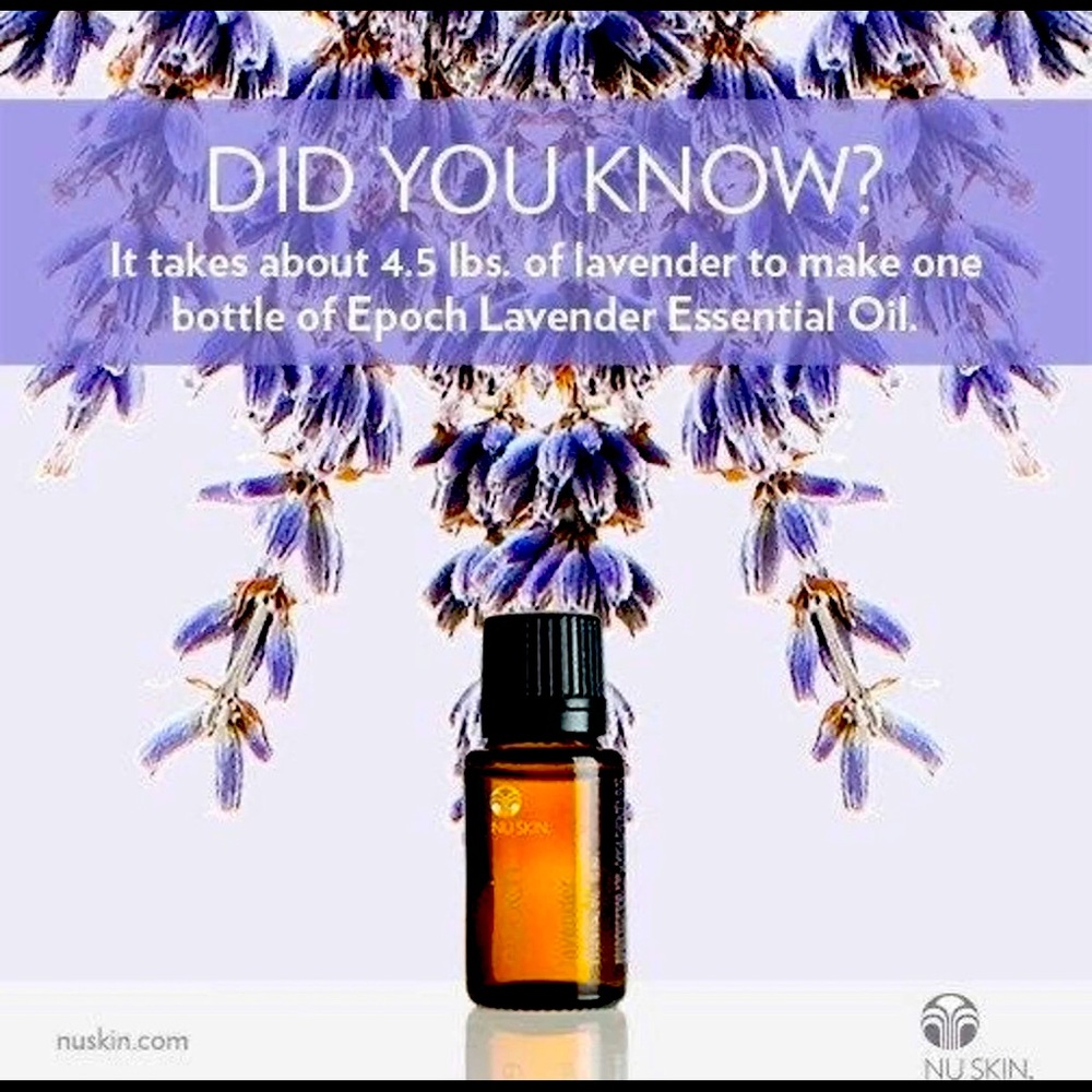 (1 Vial) Lavender Essential Oil